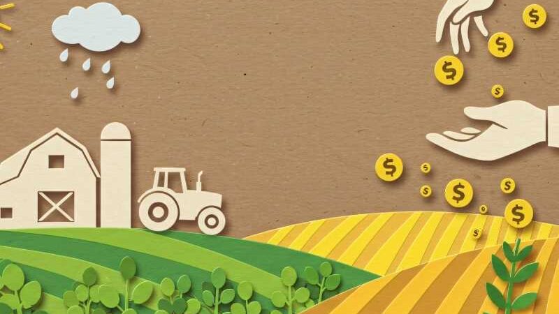 La imágen une el campo con la economía a través de cultivos y dinero
