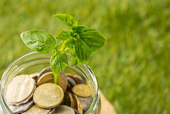 Cómo las empresas reducen su huella ambiental