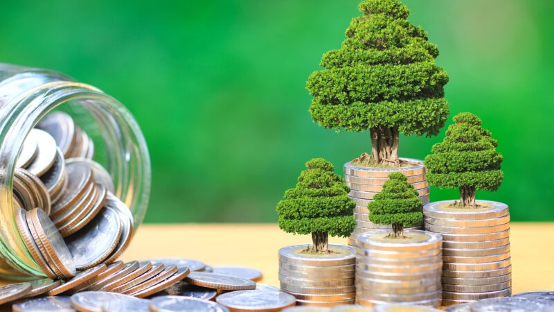 empresas reducen su huella ambiental