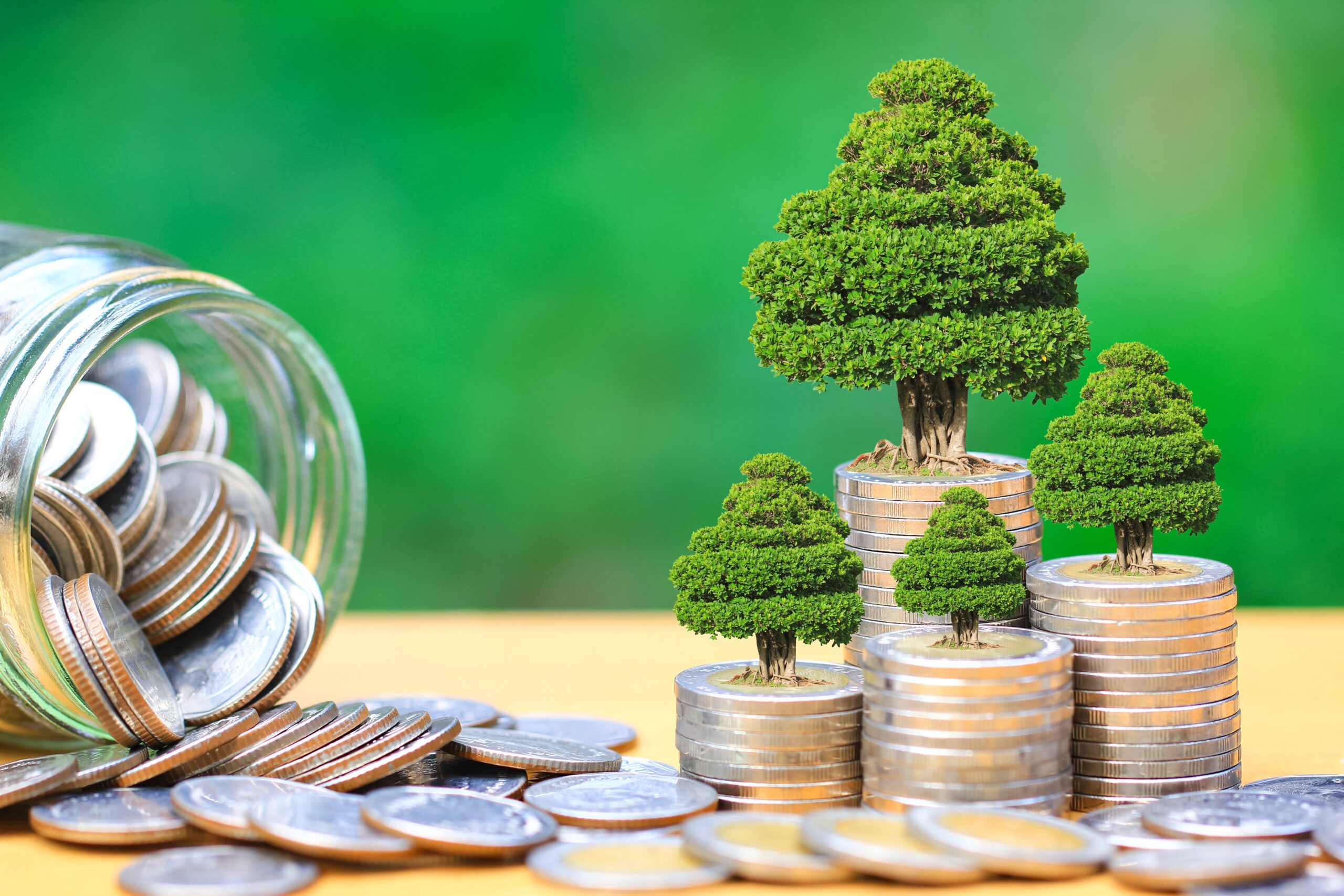 ¿Cómo las empresas reducen su huella ambiental?